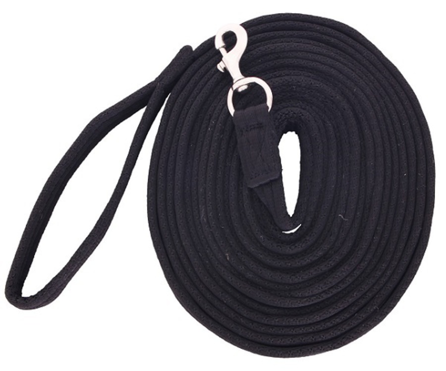 Flair Soft Webbing Lunge Lead image 0